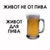 Prorifourry's Avatar
