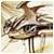 Eglarader's Avatar