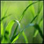 web design sheffield's Avatar