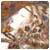 PaggingTogmig's Avatar