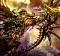 Nechronus's Avatar