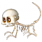 Mishell777's Avatar