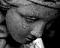 Vicente Wang's Avatar