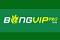 BONGVIPPRO's Avatar