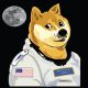 dogespacefleet1's Avatar