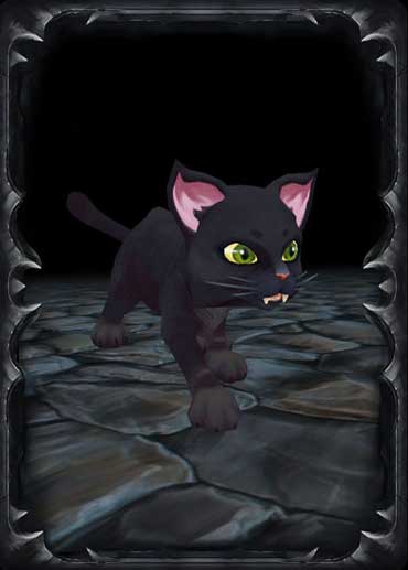 Black Cat