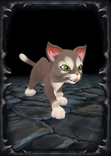 Grey Cat