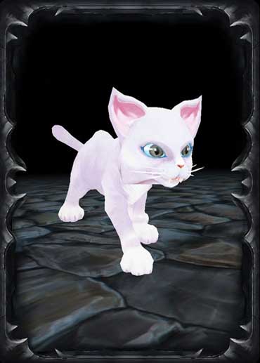 White Cat White Cat
