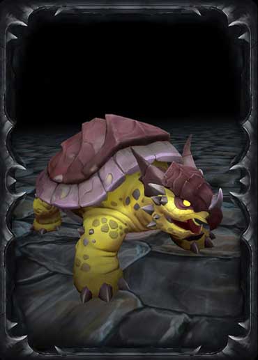 Yellow Turtle