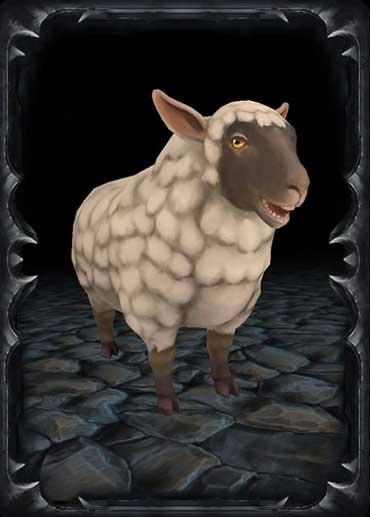 Sheep