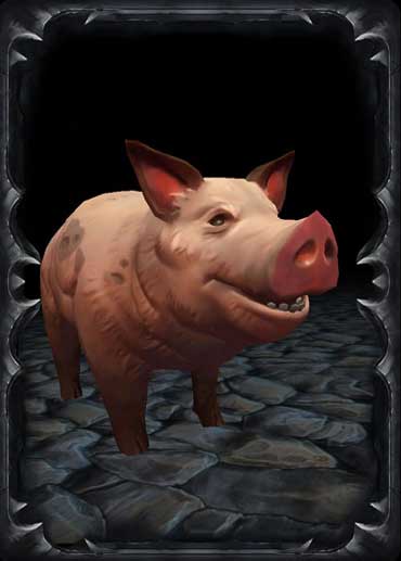 Pig