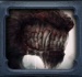 Wulven
