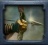HunterClassIcon.jpg